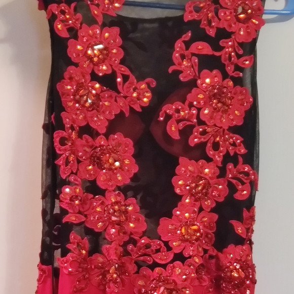 Red Formal Dress - Picture 5 of 5
